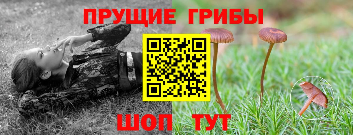 Феодосия  Псилоцибиновые грибы мухоморы  Псилоцибиновые грибы Cubensis  Вход с VPN 